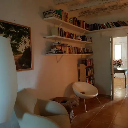 Son Blanc * סנט לואיס