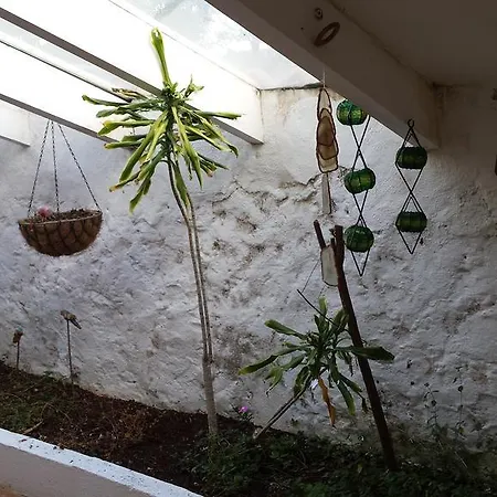 Holiday home Son Blanc Sant Lluis